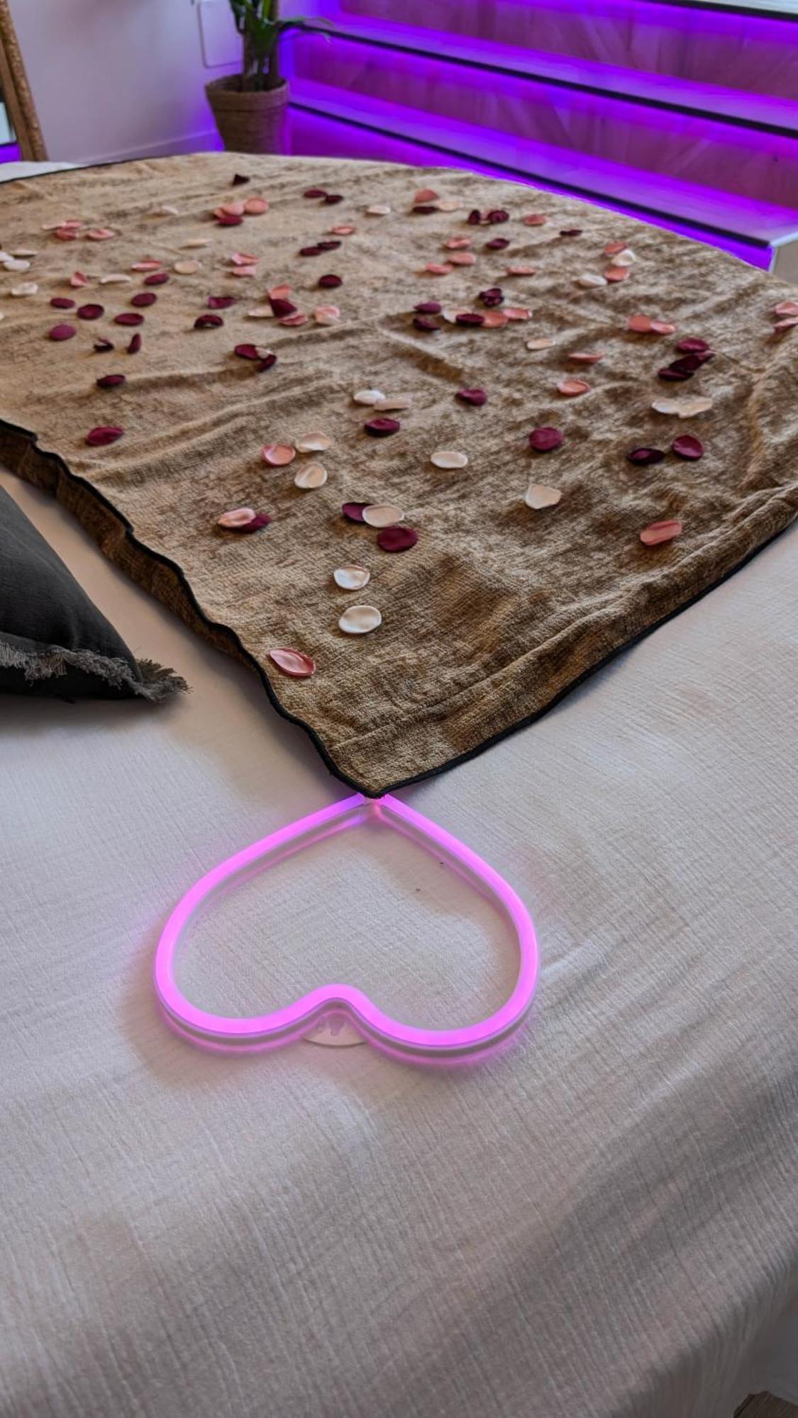 Les Suites Du Payre - Suite Romance Saint-Hilaire-de-Talmont Dış mekan fotoğraf